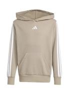 J 3S Fl Hd 225 Beige Adidas Sportswear