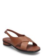 Sculpted Alba 25 Brown ECCO