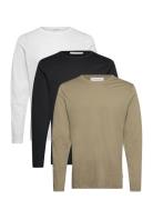 3Pk Basic Tee L/S Patterned Lindbergh