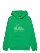 Comp Logo Hoodie Youth Green Quiksilver