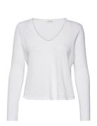 Sonoma White American Vintage