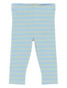 Tnsbfro Rib Leggings Blue The New