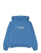 Tnsheridan Os Hoodie Blue The New