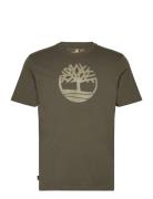 Kennebec River Tree Logo Short Sleeve Tee Leaf Green Green Timberland