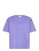 Fizvalley Purple American Vintage