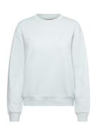 Leiot Logo Placement Blue Marimekko