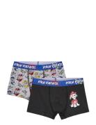 Boxer Grey Paw Patrol