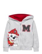 Sweats Grey Paw Patrol