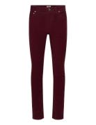 James Cord 5-Pkt Burgundy Morris