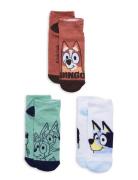Socks Patterned Bluey