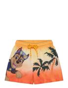 Swimwear Patterned Paw Patrol