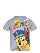 Tshirt Grey Paw Patrol