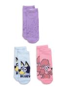 Socks Patterned Bluey