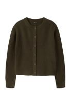 Nlfkleave Ls Short Knit Cardigan Khaki LMTD