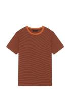 Majeremy Orange Matinique