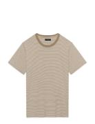 Majeremy Brown Matinique