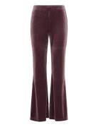 Caseyll Pants Purple Lollys Laundry