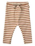 Jersey Pants Manfred Beige Wheat