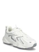 Brooke W White Exani