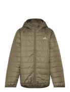 J Ess L Pad Jkt Khaki Adidas Sportswear