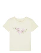 Lilyregular Night Cream Roxy