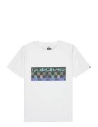 Next Gen Ss White Quiksilver