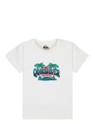 Ev Palm Horizon Ss Boy White Quiksilver