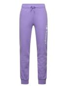 Rib Cuff Pants Purple Champion