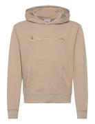 Hooded Sweatshirt Brown Champion