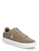 Classic Cupsole Laceup Su Beige Calvin Klein