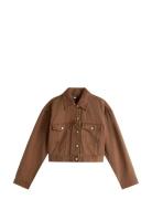Tjw Ess Cotton Gmd Jacket Brown Tommy Jeans