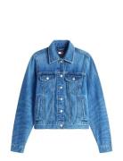 Classic Trucker Ext Bj8038 Blue Tommy Jeans