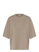 Fraurora Pu 1 Beige Fransa