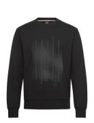 C-Soleri 239 Black BOSS