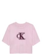 Velvet Monogram Boxy S/S T-Shirt Pink Calvin Klein