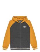 Knowledge Area Fz Youth Orange Quiksilver