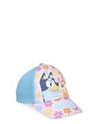 Cap Blue Bluey