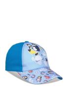 Cap Blue Bluey