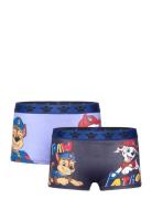 Boxer Patterned Paw Patrol