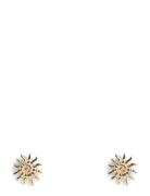 Pcannelina Earrings Bundle Pp Gold Pieces