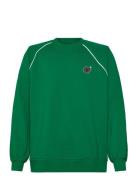 Dp James New Sweat Crew Neck Green Denim Project