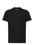 Tee Collar Z Black BOSS