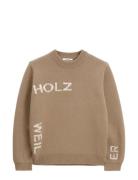 Haza Summer Logo Crew Brown HOLZWEILER