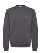 Embroidery Crew Grey HOLZWEILER