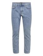 Delaware Bo Blue BOSS