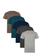 Dp 5 Pack T-Shirts Patterned Denim Project