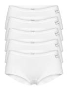 Decoy Hipster, 5-Pack Gots White Decoy