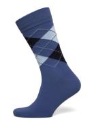 Argyle Socks Blue GANT
