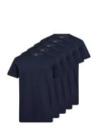 Claudio 5-Pack T-Shirt Cotton Navy Claudio