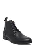 Covent Lace Up Brown Texas Black Sneaky Steve